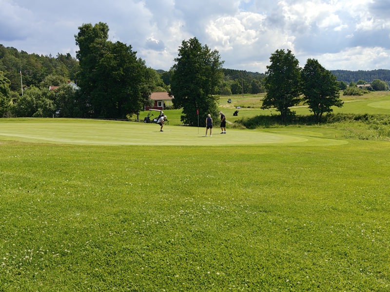 Stämningen på topp när Golfveckan rullar vidare