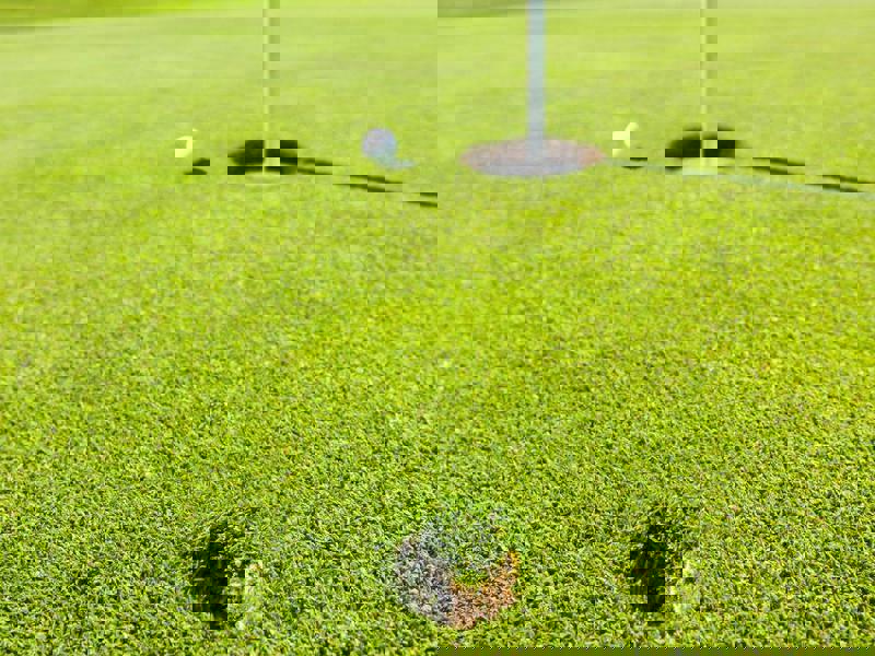 Hur man lagar nedslagmärken på green