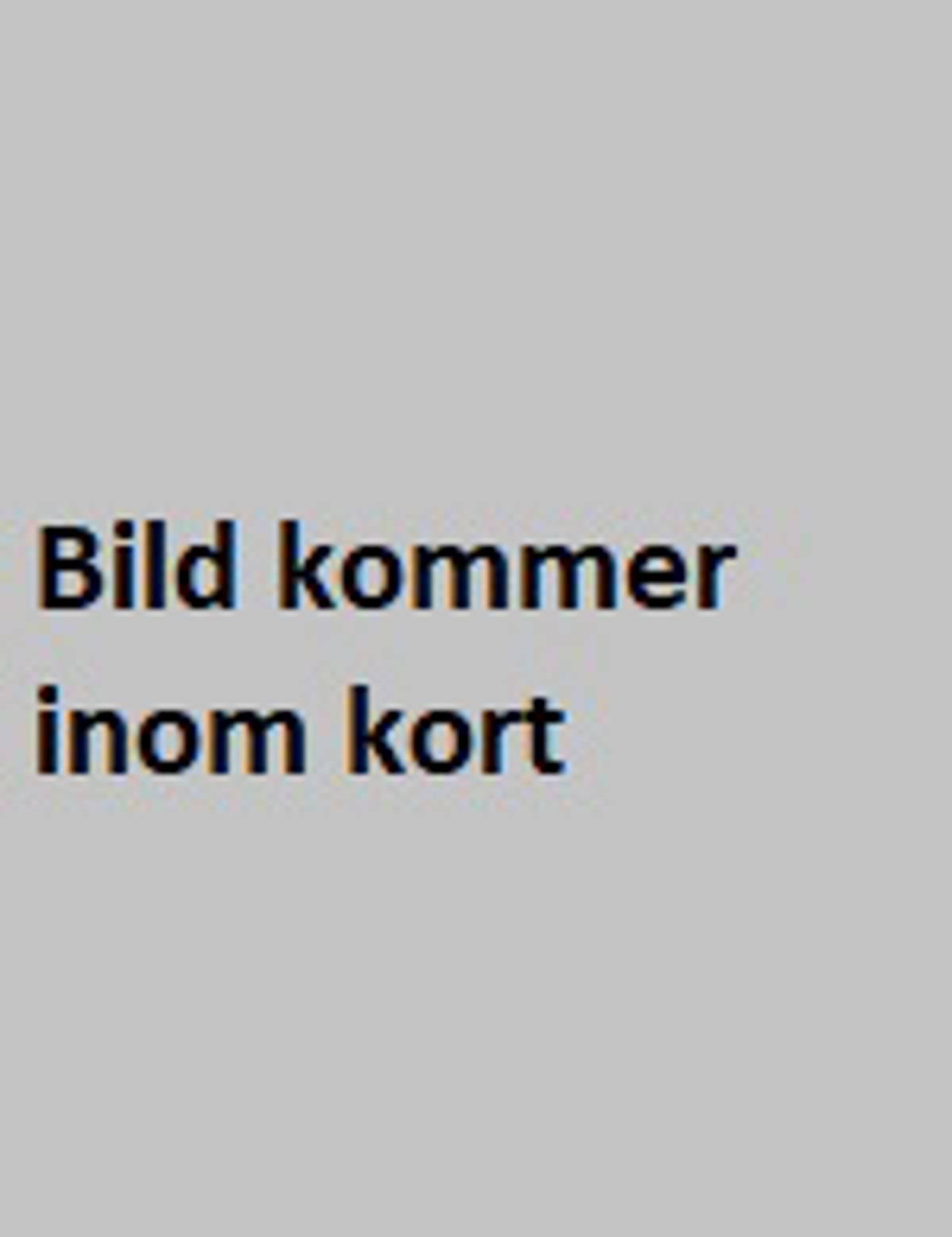 Frida Göransson Suppleant